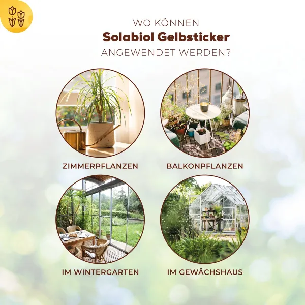 Solabiol® Gelbsticker 10 Motivsticker - fängt fliegende Schädlinge