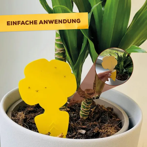 Solabiol® Gelbsticker 10 Motivsticker - fängt fliegende Schädlinge