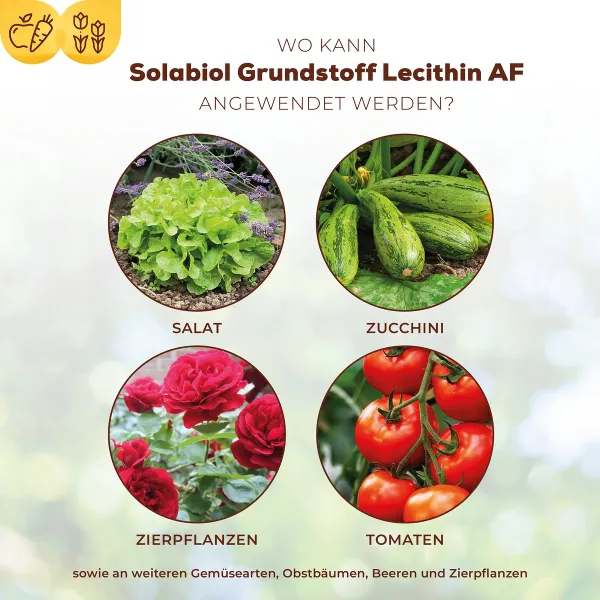 Solabiol® Grundstoff Lecithin AF - 1 Liter