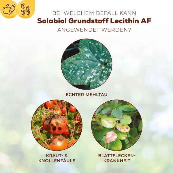Solabiol® Grundstoff Lecithin AF - 1 Liter