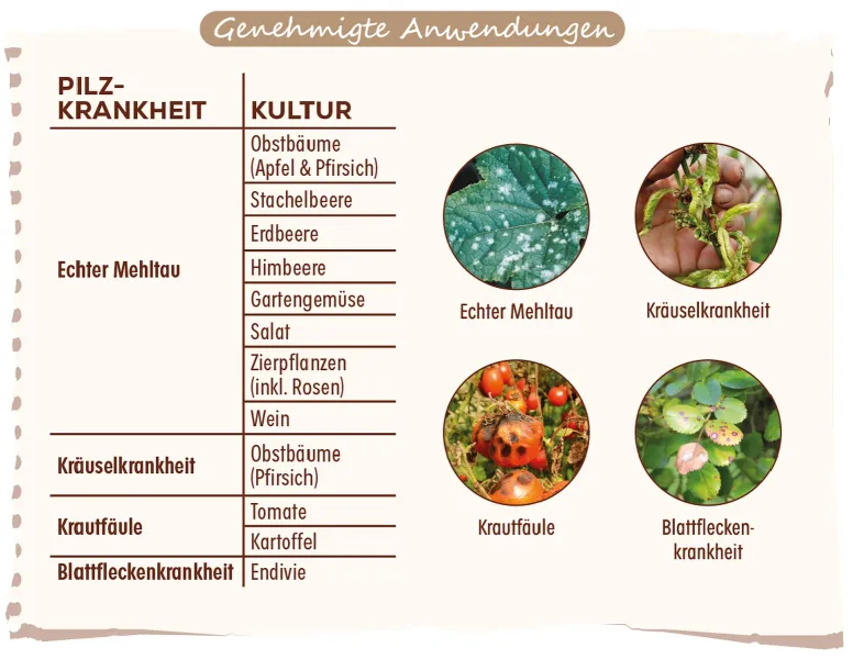 Solabiol® Grundstoff Lecithin für 21 Liter Spritzbrühe - 800 ml