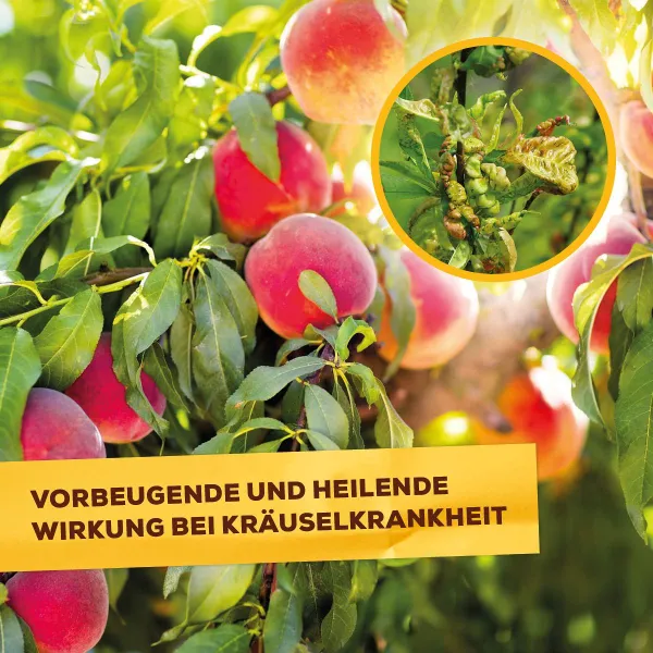 Solabiol® Grundstoff Lecithin Rosen-Spray anwendungsfertig für 100 m² - 1 Liter