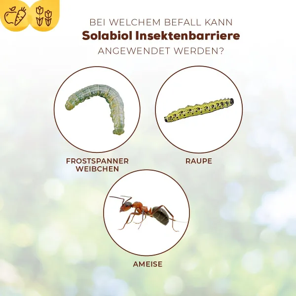 Solabiol® Insektenbarriere für Bäume bis zu 90 cm Umfang - batteriebetrieben