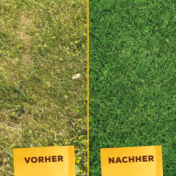 Solabiol® Rasendünger Aktionspackung 15 kg für ca. 500 m²