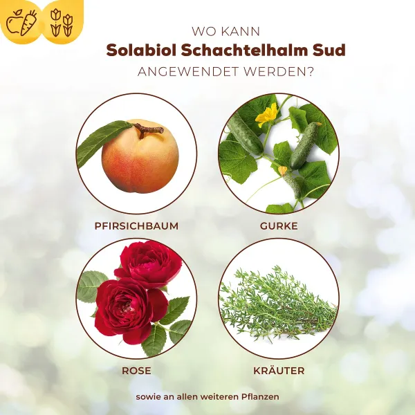 Solabiol® Schachtelhalm Sud für pilzanfällige Pflanzen Konzentrat - 1 Liter