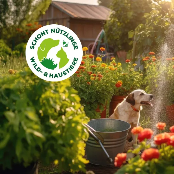 Solabiol® Schneckenbarriere für bis zu 10 Meter - 1,5 kg