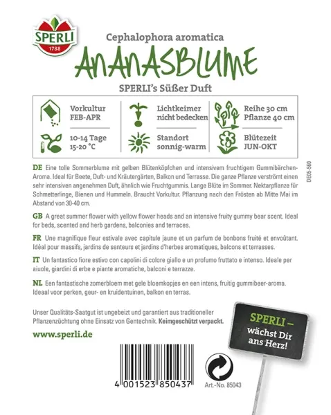 Sperli Ananasblume SPERLI´s Süßer Duft - Blumensamen