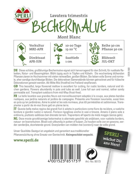 Sperli Bechermalven Mont Blanc - Blumensamen