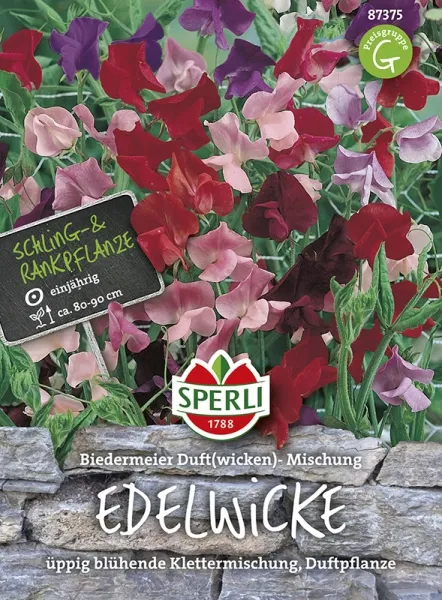 Sperli Biedermeier Duftwicken Mischung - Blumensamen