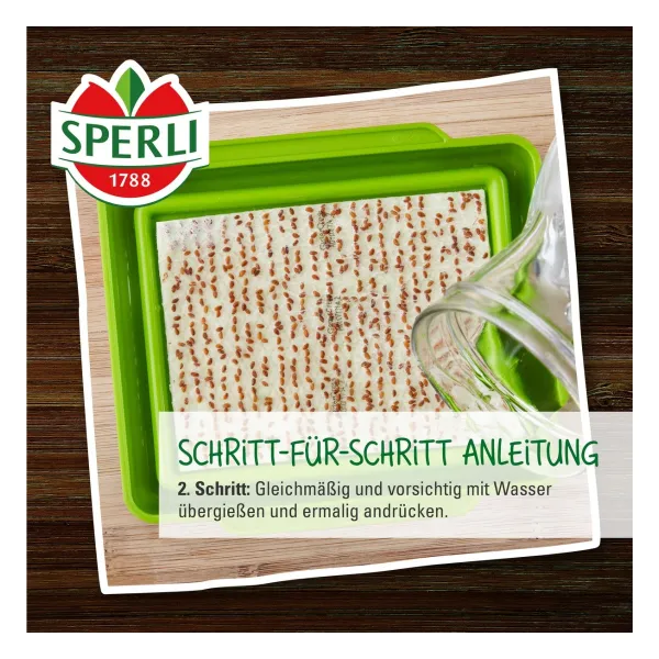 Sperli Microgreen Box Anzuchtset mit 4 Keimpads