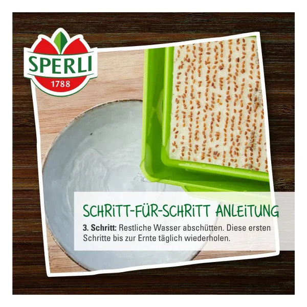 Sperli Microgreen Box Anzuchtset mit 4 Keimpads