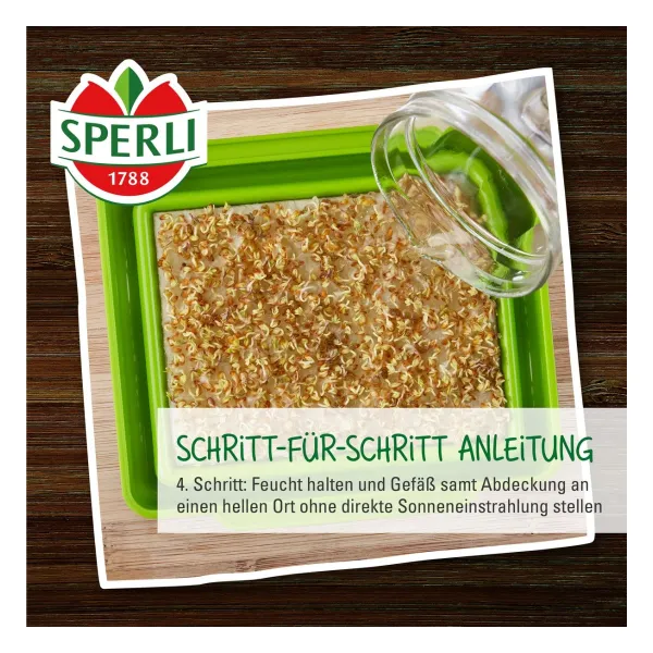 Sperli Microgreen Box Anzuchtset mit 4 Keimpads