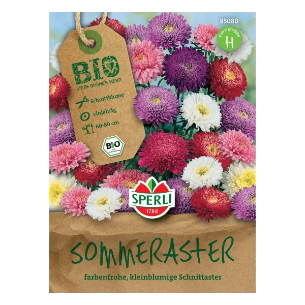 Sperli Sommeraster Mischung, mehrfarbig, Schnittblume 60 - 80 cm