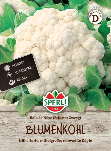 Sperli Blumenkohl Bola de Neve - Erfurter Zwerg - Gemüsesamen Sperli Blumenkohl Bola de Neve - Erfurter Zwerg - Gemüsesamen