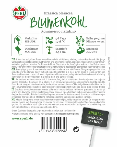 Sperli Blumenkohl Romanesco natalino - Gemüsesamen