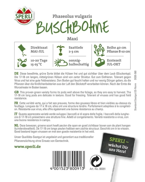 Sperli Buschbohnen Maxi - Gemüsesamen