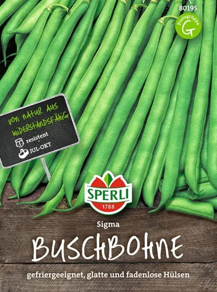 Sperli Buschbohnen Sigma - Gemüsesamen Sperli Buschbohnen Sigma - Gemüsesamen