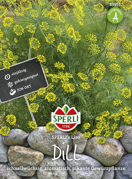 Sperli Dill SPERLI´s Liso - Kräutersamen