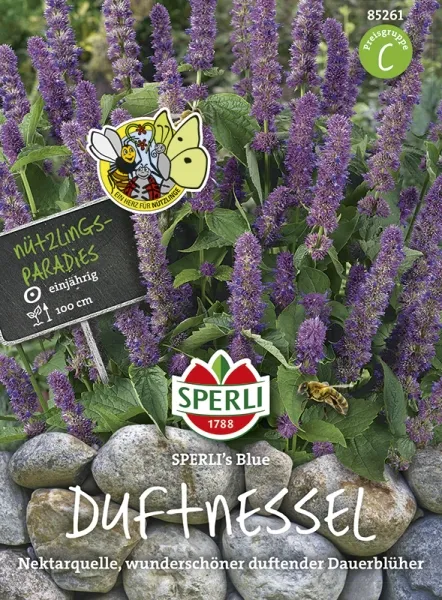 Sperli Duftnesseln SPERLI´s Blue - Blumensamen