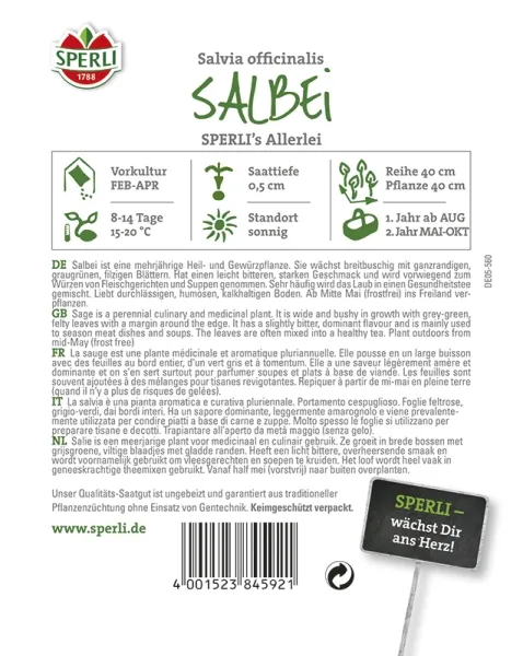 Sperli Echter Salbei Allerlei - Kräutersamen