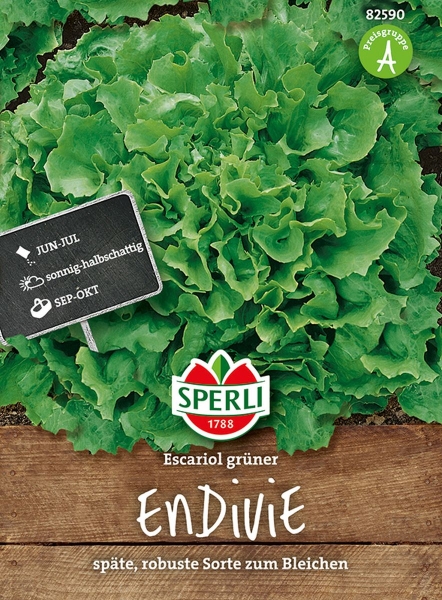 Sperli Endivien Grüner Escariol - Gemüsesamen