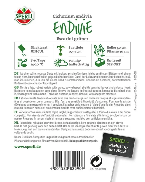 Sperli Endivien Grüner Escariol - Gemüsesamen