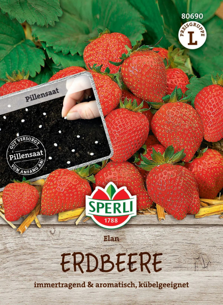Sperli Erdbeeren Elan F1 - Obstsamen
