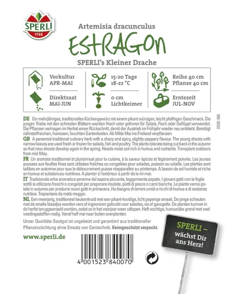 Sperli Estragon SPERLI´s Kleiner Drache - Kräutersamen