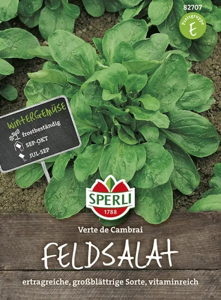 Sperli Feldsalat Verte De Cambrai / Jupiter / Dunkelgrüner Vollherziger 2 - Gemüsesamen Sperli Feldsalat Verte De Cambrai / Jupiter / Dunkelgrüner Vollherziger 2 - Gemüsesamen