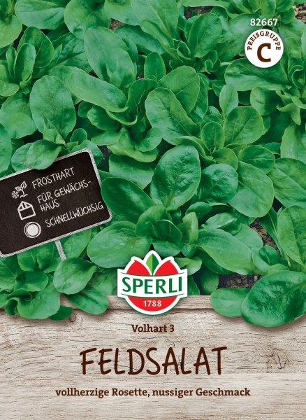 Sperli Feldsalat Volhart 3 - Gemüsesamen