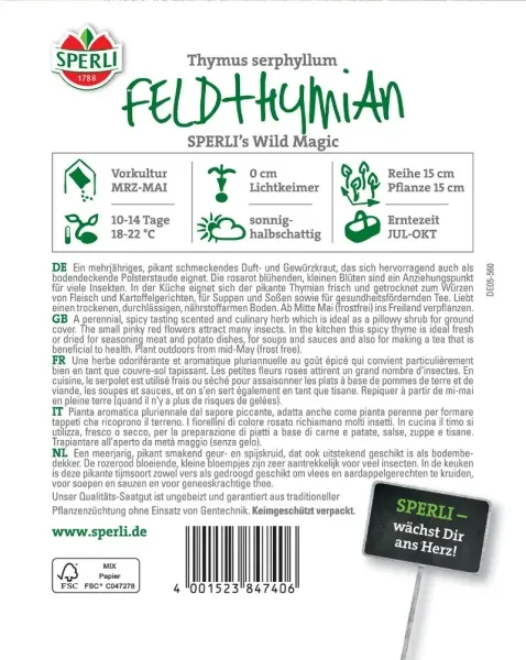 Sperli Feldthymian Wild Magic - Kräutersamen