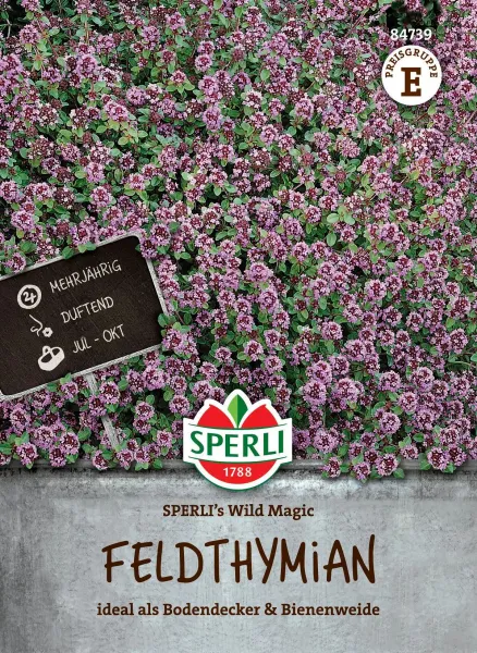 Sperli Feldthymian Wild Magic - Kräutersamen