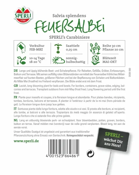 Sperli Feuersalbei Carabiniere - Blumensamen