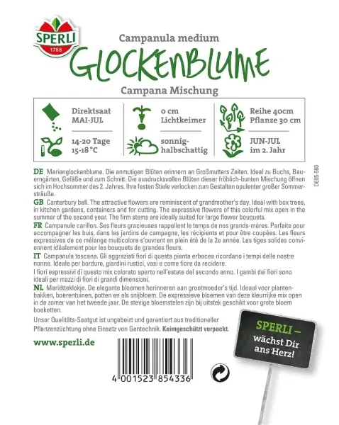 Sperli Glockenblumen Campanula Mischung - Blumensamen