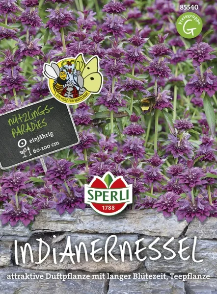 Sperli Indianernesseln violett - Blumensamen