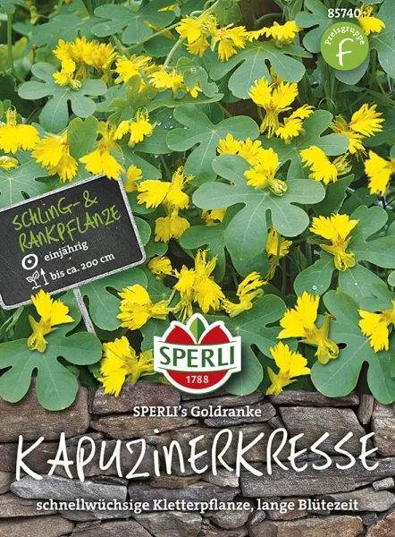 Sperli Kanarische Kapuzinerkresse SPERLI´s Goldranke - Blumensamen