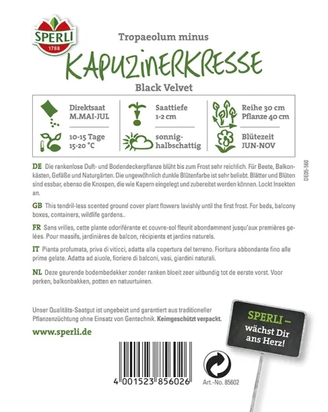Sperli Kapuzinerkresse Black Velvet - Blumensamen