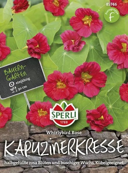 Sperli Kapuzinerkresse Whirlybird Rose - Blumensamen