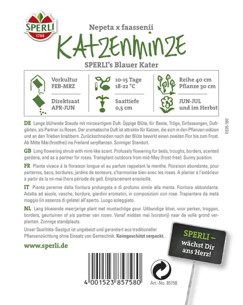Sperli Katzenminze SPERLI´s Blauer Kater - Blumensamen