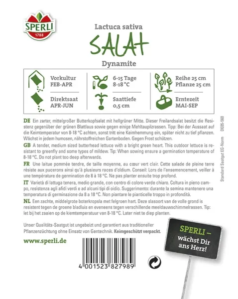 Sperli Kopfsalat Dynamite - Gemüsesamen