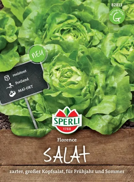 Sperli Kopfsalat Florence - Gemüsesamen Sperli Kopfsalat Florence - Gemüsesamen