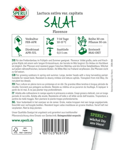 Sperli Kopfsalat Florence - Gemüsesamen