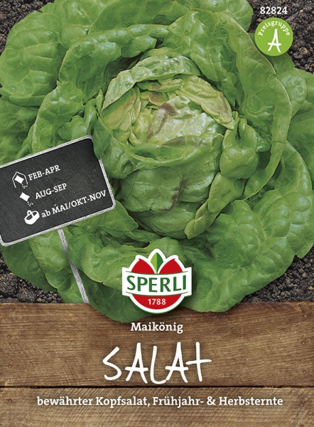 Sperli Kopfsalat Maikönig - Gemüsesamen
