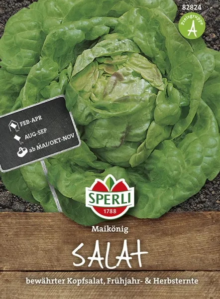 Sperli Kopfsalat Maikönig - Gemüsesamen