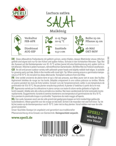 Sperli Kopfsalat Maikönig - Gemüsesamen