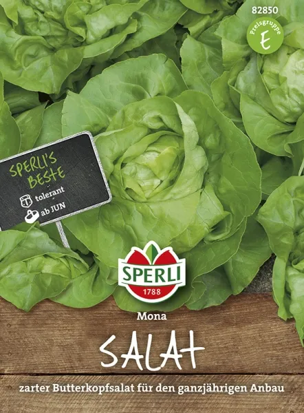 Sperli Kopfsalat Mona - Gemüsesamen