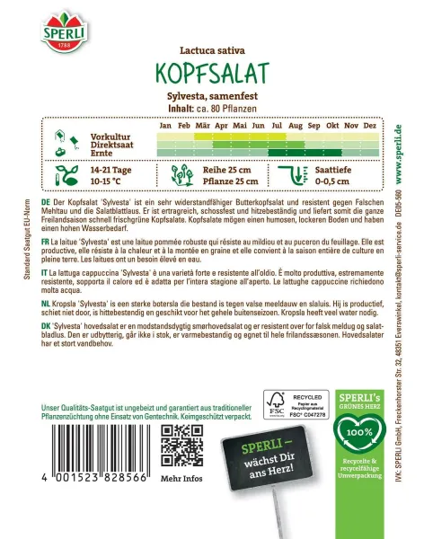 Sperli Kopfsalat Sylvesta - Gemüsesamen