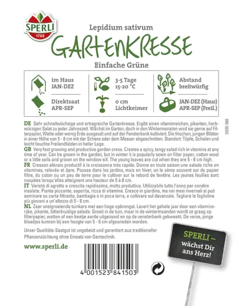 Sperli Kresse Einfache Grüne - 50 g Großpackung - Kräutersamen