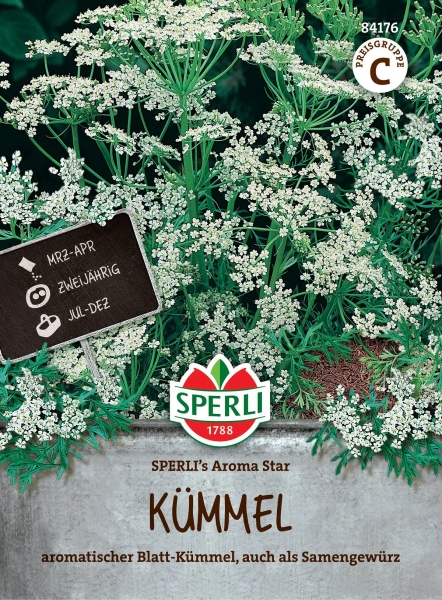 Sperli Kümmel Aroma Star - Kräutersamen