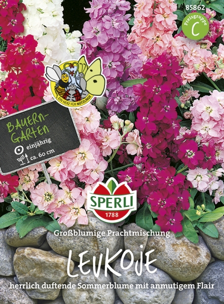 Sperli Levkojen Großblumige Prachtmischung - Blumensamen